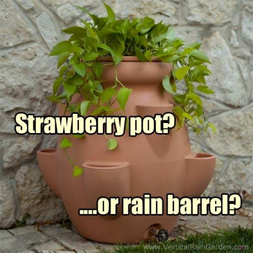 Strawberry Pot Rain Barrel Kit