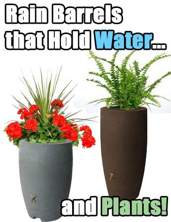Rain Barrels that Also Hold Plants